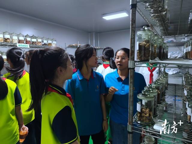 南方醫(yī)科大學中醫(yī)藥學院“百千萬工程”突擊隊積極開展鄉(xiāng)村藥學服務活動。