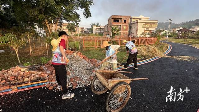廣東工程職業(yè)技術學院長樂行社會實踐隊通力協(xié)作開展湖中村“四小園”一期規(guī)劃建設。